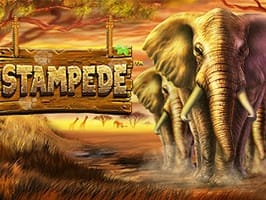 Stampede screenshot